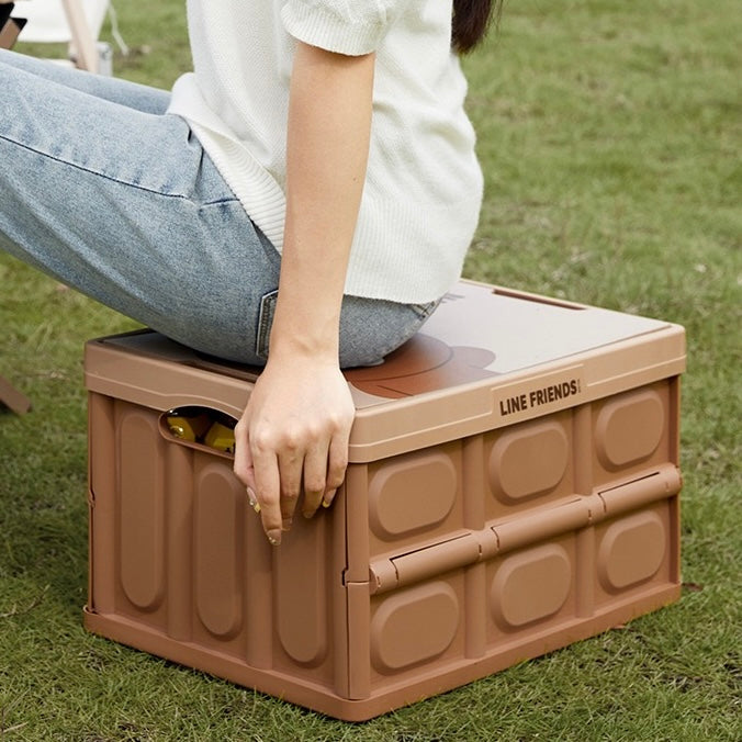 Line Friends Foldable Car Storage Box – Brown & Cony | Multipurpose Organizer